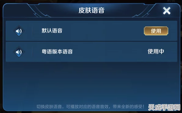 王者荣耀深度探索，个性化语音包设置全攻略及赛事亮点