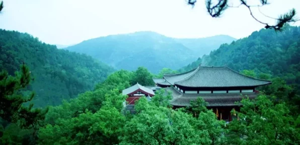 光遇探险揭秘，大树屋任务第二关详尽攻略与最新动态