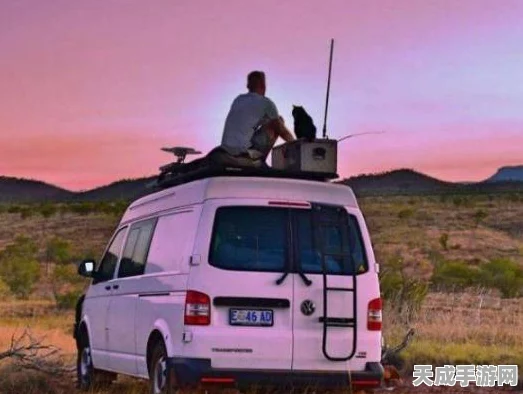 天涯明月刀手游，新手必看！高效获取强力伙伴全攻略