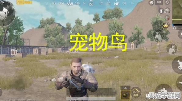 和平精英投掷物绝技揭秘，精准投掷，决胜战场的关键策略