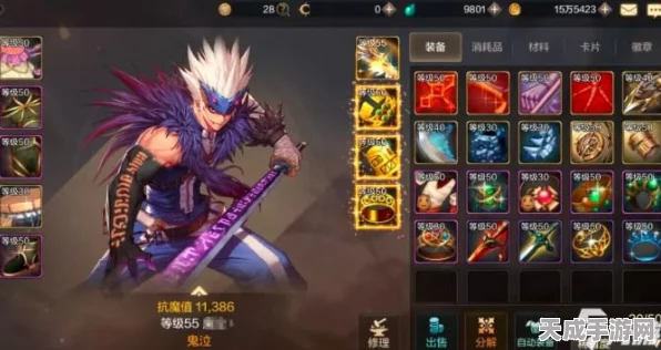 DNF手游，揭秘武器双属性的强大效果与实战应用