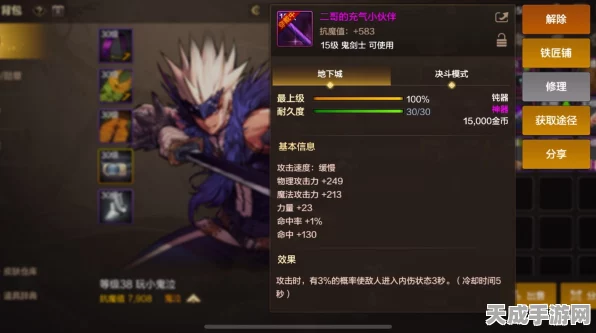 DNF手游，揭秘武器双属性的强大效果与实战应用