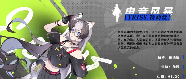 猫之城SSR角色强度排行及副本攻略深度解析
