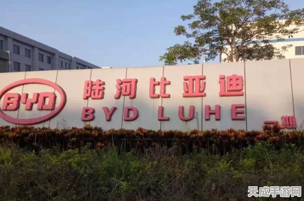 攻城掠地195副本六珍全攻略，高手策略与技巧深度揭秘