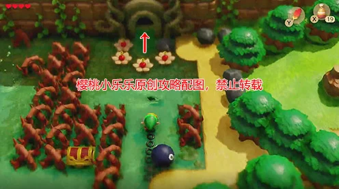塞尔达传说，织梦岛探险攻略——揭秘不可思议森林的通关秘诀