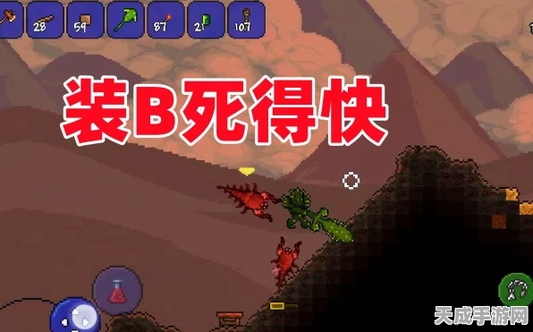 泰拉瑞亚探险指南，揭秘仙人掌套装的获取之道