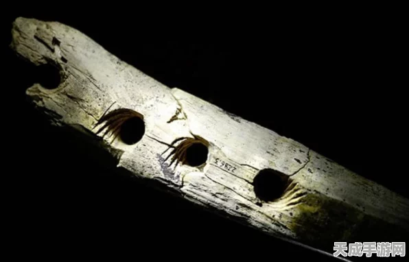 揭秘不思议迷宫，奇怪实验室2高效速刷与通关秘籍，赢取稀有奖励