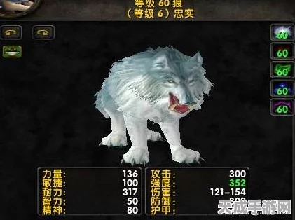 魔兽世界猎人10级驯宠攻略，解锁你的冒险伙伴！