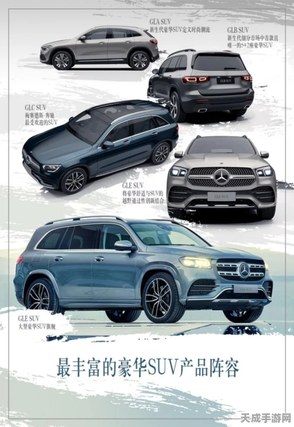 王牌竞速深度解析，梅赛德斯-奔驰豪车性能与性价比大揭秘