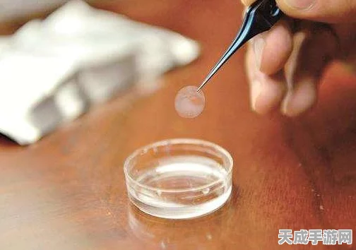 完美世界手游角色强度大揭秘，谁是战场上的真正王者？