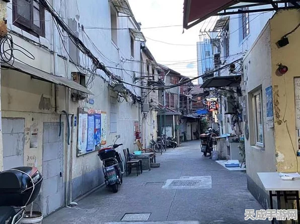从前有条街杂货店热销商品攻略，解锁财富密码，打造繁荣街区！