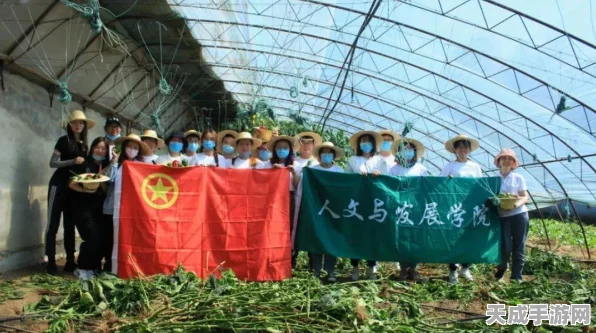 模拟农场25手机版即将上线，全新农耕体验等你来探索！
