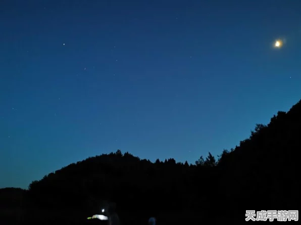 天涯明月刀手游，新手钓鱼指南，轻松解锁鱼竿鱼饵秘籍