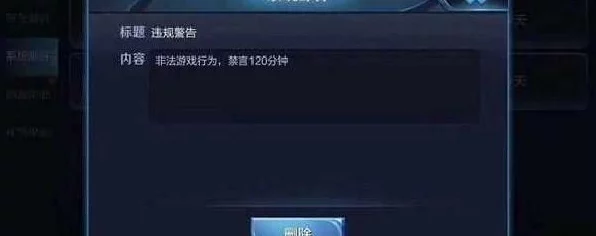 王者荣耀玩家必看，详解查询禁言时长的方法与最新动态