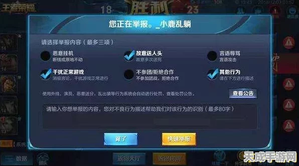 王者荣耀玩家必看，详解查询禁言时长的方法与最新动态