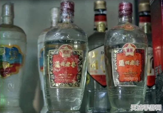 放开那三国3，新手启航全攻略，乱世称雄不是梦