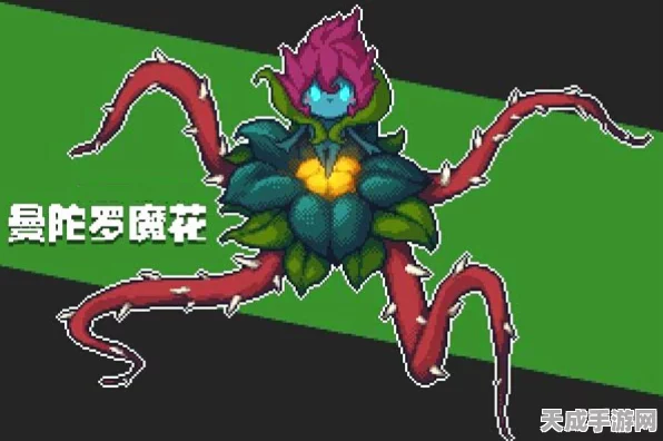 元气骑士全礼包码独家揭秘，解锁游戏内珍稀道具，助你称霸冒险之旅