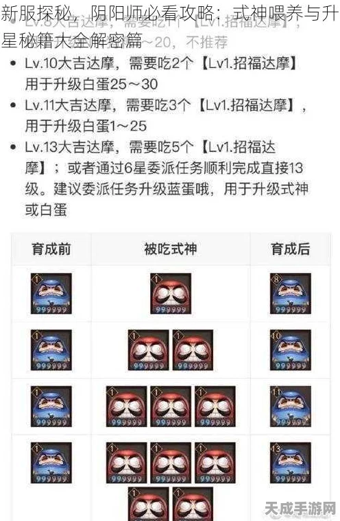 阴阳师新服深度攻略，式神养成与升星秘籍全揭秘