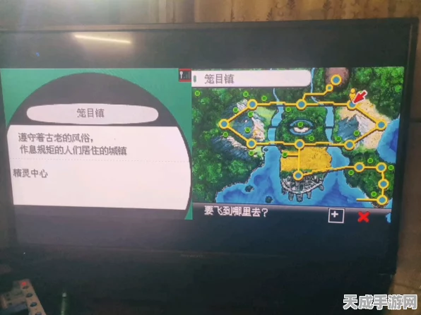 口袋妖怪白，全地图精灵分布深度揭秘与捕捉攻略