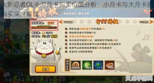 火影忍者手游，点券月卡购买全攻略，解锁忍者新境界！