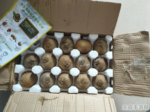 蚂蚁庄园新春特辑，揭秘过年炸制冷冻食品的安全秘籍