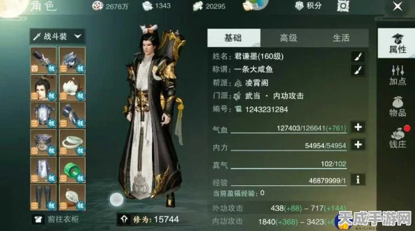武当高手必备！一梦江湖武当副本顶级装备搭配攻略，揭秘高效PVE套装秘籍