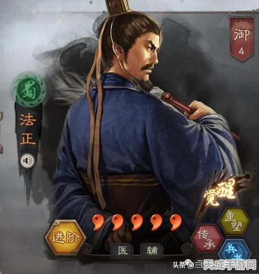 三国志战略版国之栋才，顶尖角色搭配与战法策略揭秘