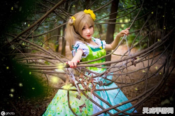 碧蓝航线，揭秘提尔比茨舰船高效获取策略，详解多种途径与技巧