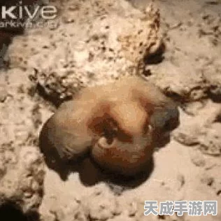深度攻略，征服不思议迷宫章鱼博士，解锁隐藏挑战秘籍
