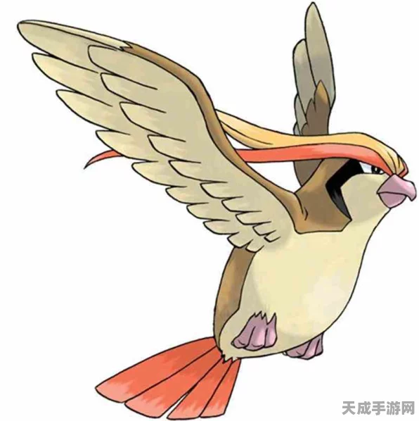 口袋妖怪VS，比雕双属性攻略，解锁普通与飞行系战斗潜能！