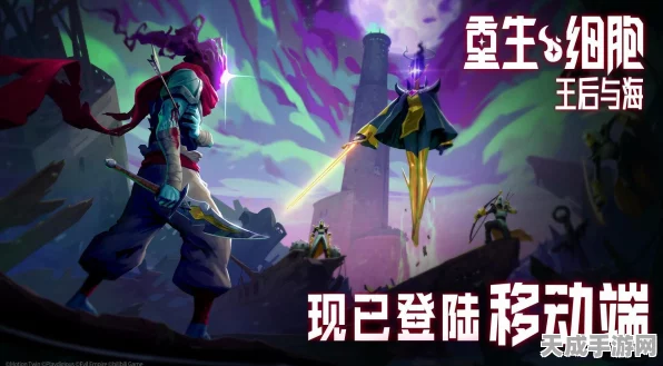 重生细胞深度攻略，揭秘王后与海路线全解析，助你征服未知海域