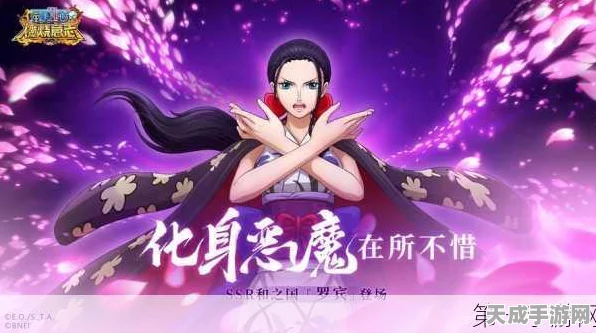 航海王强者之路，罗宾最强阵容搭配攻略，解锁战斗新境界！