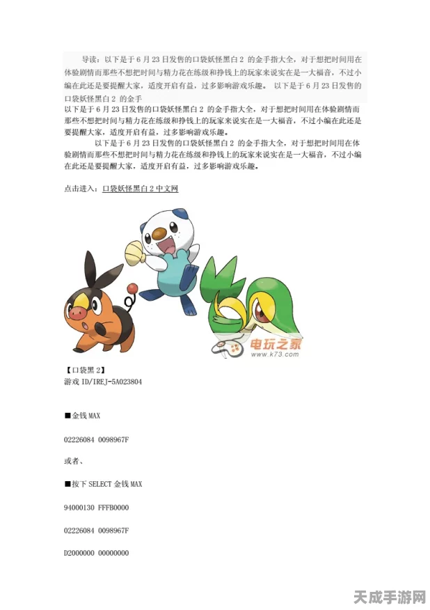 口袋妖怪黑白2秘籍，全面解锁金手指代码实战攻略