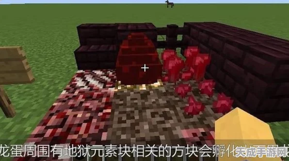 我的世界生存模式，揭秘终极挑战，龙蛋获取全攻略