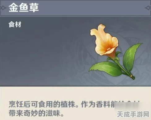 原神深度攻略，轻松解锁食材加工奖励，助你冒险之旅更顺畅！