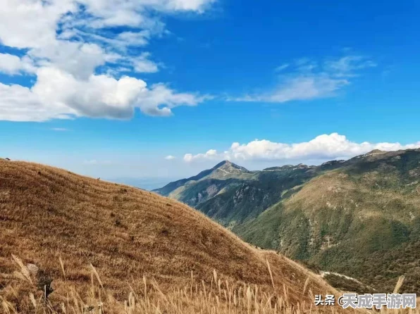 太极熊猫，勇者之巅，极限挑战赛燃爆来袭！