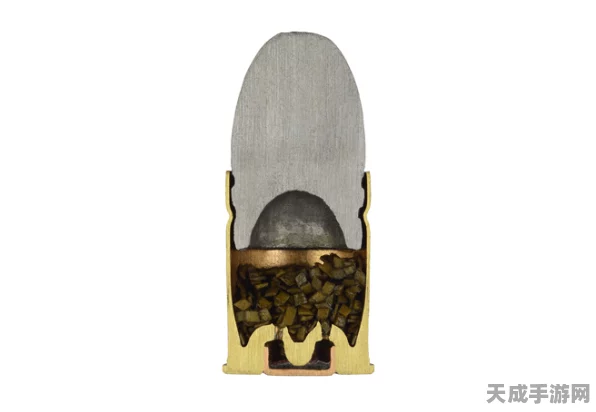 暗区突围，霰弹枪子弹精选指南，助你战场称雄