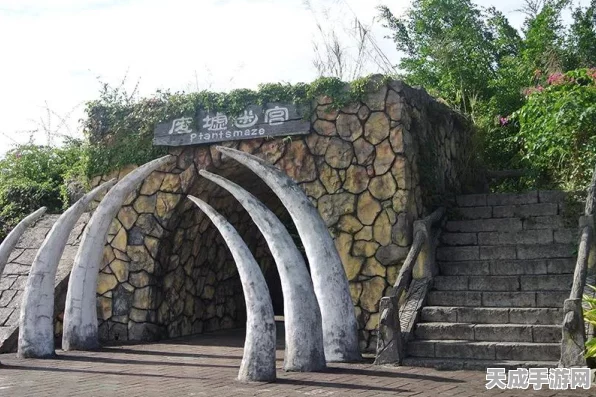魔域手游革新玩法揭秘，迷宫消失背后的策略与惊喜