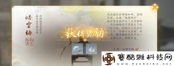 射雕手游皓雪梅速刷攻略，揭秘高效采集与竞技双赢秘籍