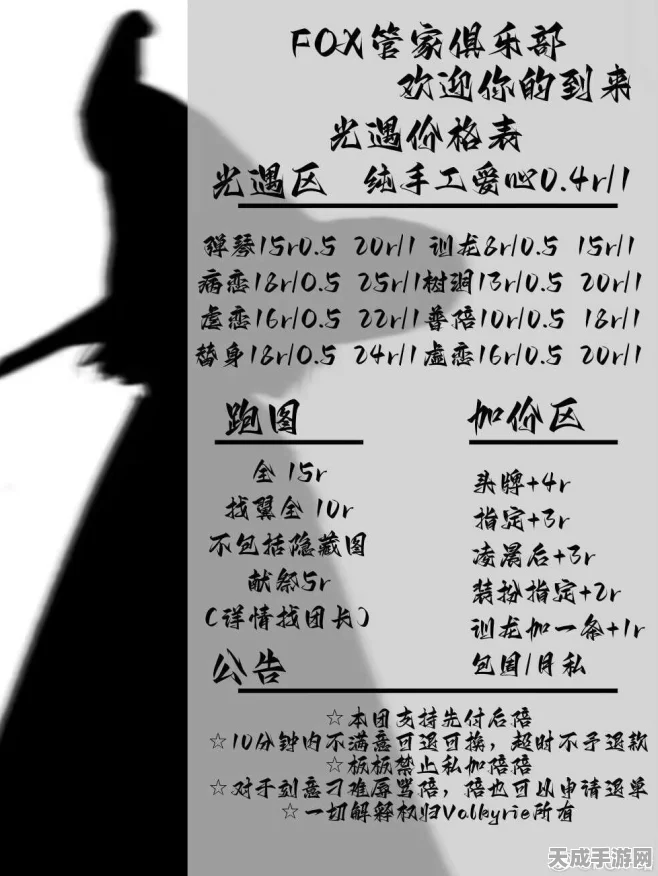 光遇陪玩团深度揭秘，禁忌与规则，打造完美游戏体验！