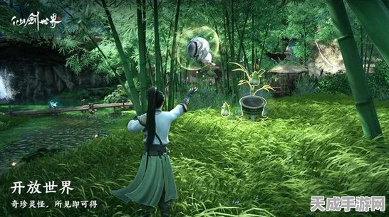 网易仙侠单机RPG巨献剑心雕龙，探索武侠新境界，揭秘项目计划细节