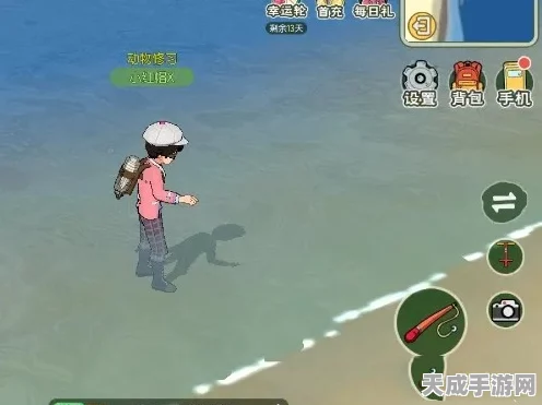 小森生活，揭秘高效捕获沙丁鱼的技巧与最新活动