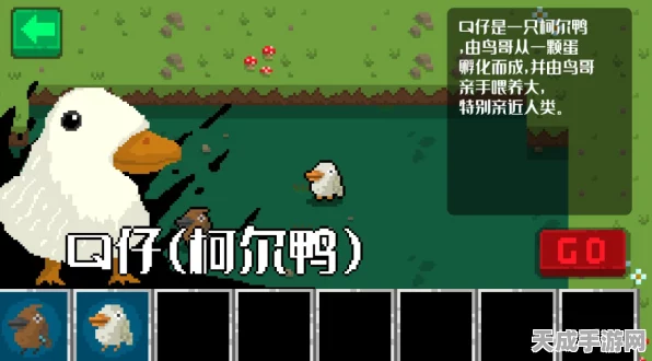 元气骑士新揭秘，花园鸭子隐藏功能与趣味玩法全解析