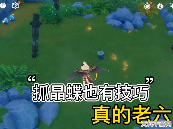 原神晶蝶捕捉大赛全攻略，揭秘高效捕捉晶蝶的地点与独门技巧