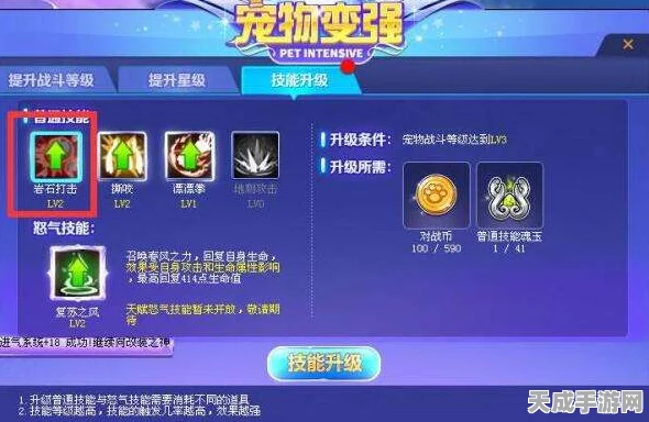 QQ飞车宠物对战，揭秘顶级宠物战力排行与对战策略