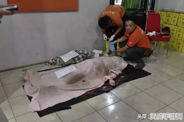 碧蓝航线新手任务失踪之谜，玩家热议与官方回应深度解析