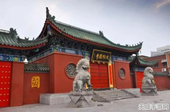 独家揭秘，梦回西游记手游礼包码大放送，赢取珍稀道具与限定皮肤！