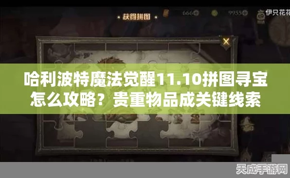 哈利波特，魔法觉醒深度攻略，解锁贵重物品拼图收集秘籍