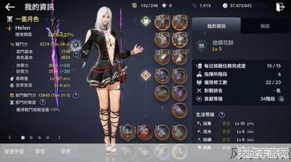 揭秘黑色沙漠头目挑战，攻略与秘密技巧大公开