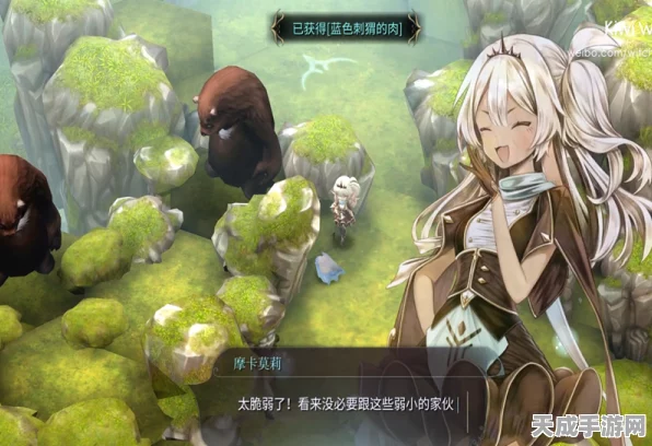 魔女之泉4深度揭秘，卡巴内斯洞窟探险指南与精灵项链商人奇遇记